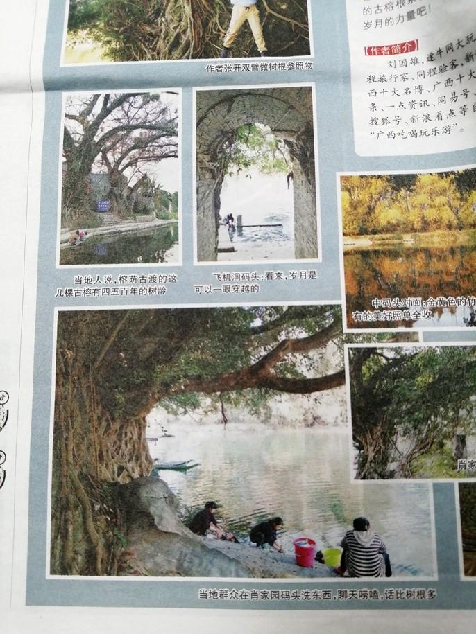 广西报纸整版图文报道——中渡古镇：这里的码头有看头