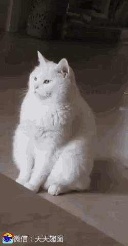 搞笑gif神评：一个人无聊起来什么都做得出来