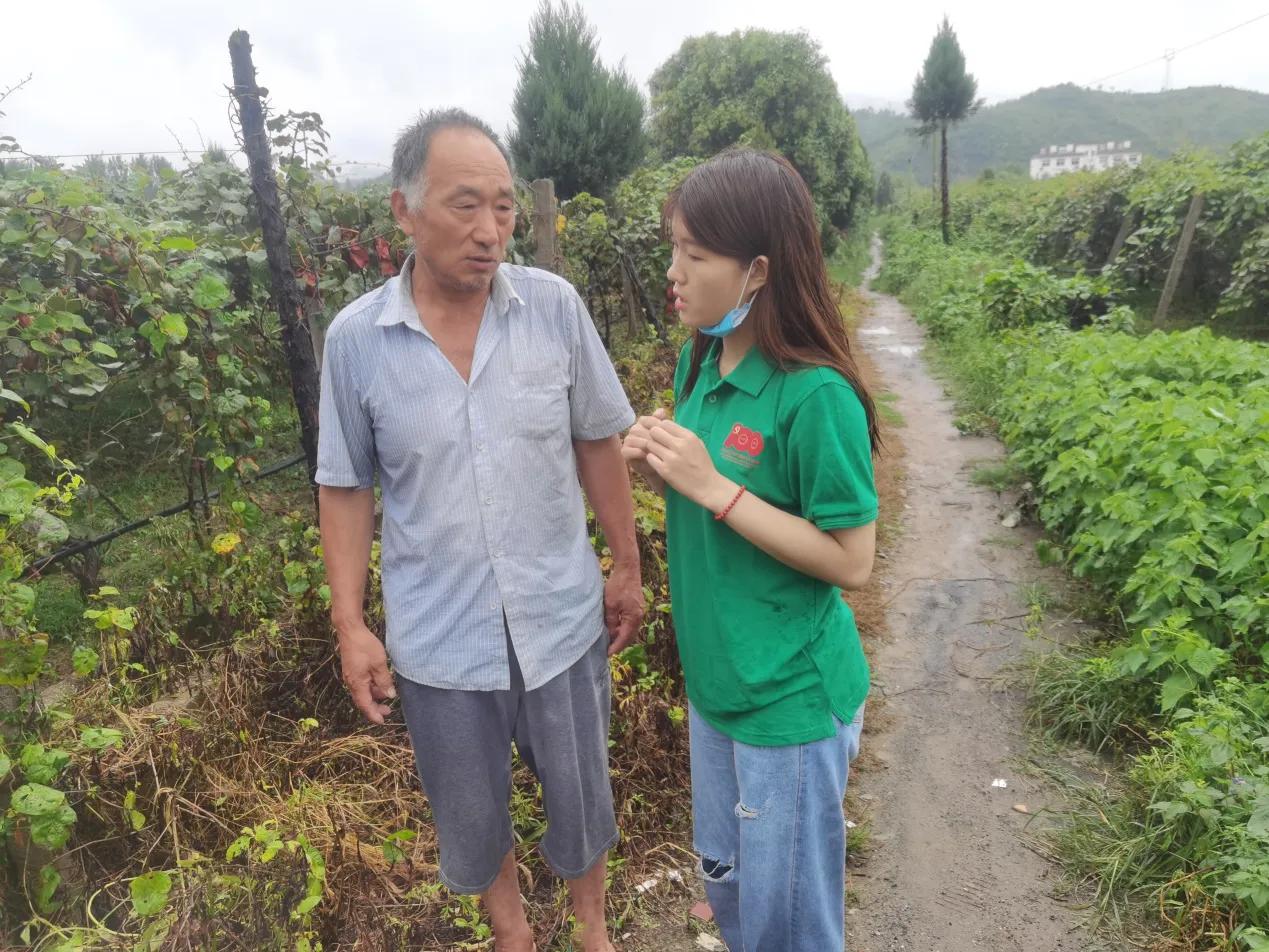 “盛夏燃梦”，小小猕猴桃竟能撬动乡村振兴