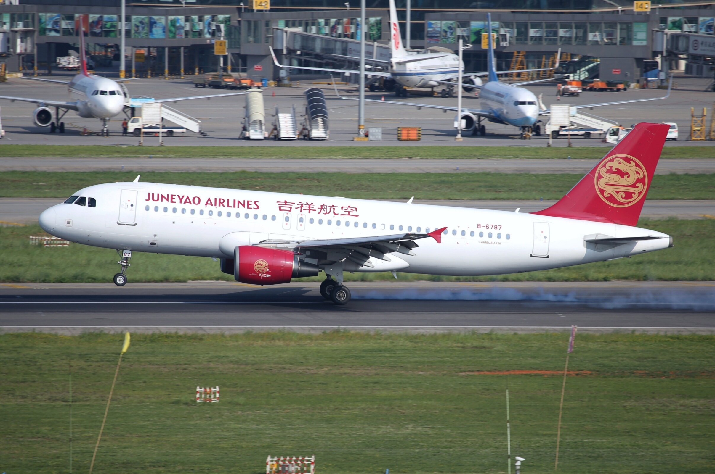 吉祥航空为什么叫奶航(吉祥航空是廉航吗)