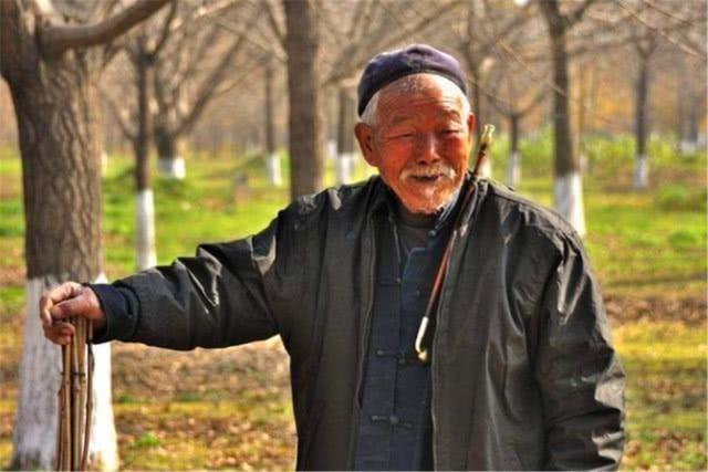 俗语“五十不建房，六十不栽树，七十不做衣”