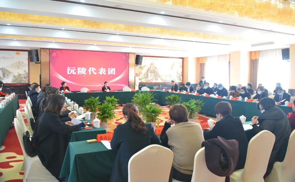 【图片新闻】市五届人大五次会议各代表团举行分组讨论