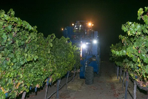 史上最全酿酒全过程详解，建议收藏（多图）