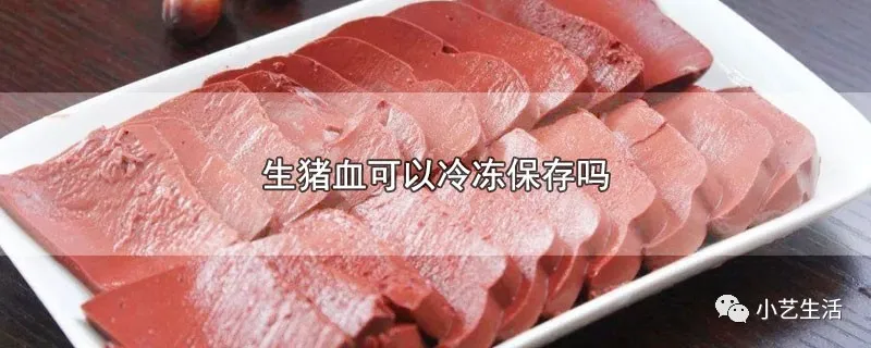 生豬血可以冷凍保存嗎 生豬血保存的方法 小薛同學x Mdeditor 生豬血可以冷凍保存嗎 生豬血保存的方法 小薛同學x Mdeditor