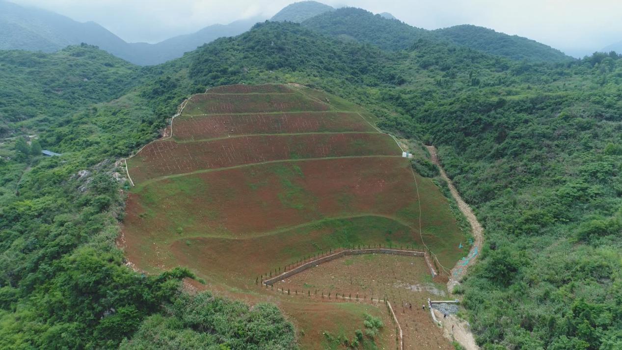 千年铜都展新颜 湖北大冶治理矿山地质环境见成效