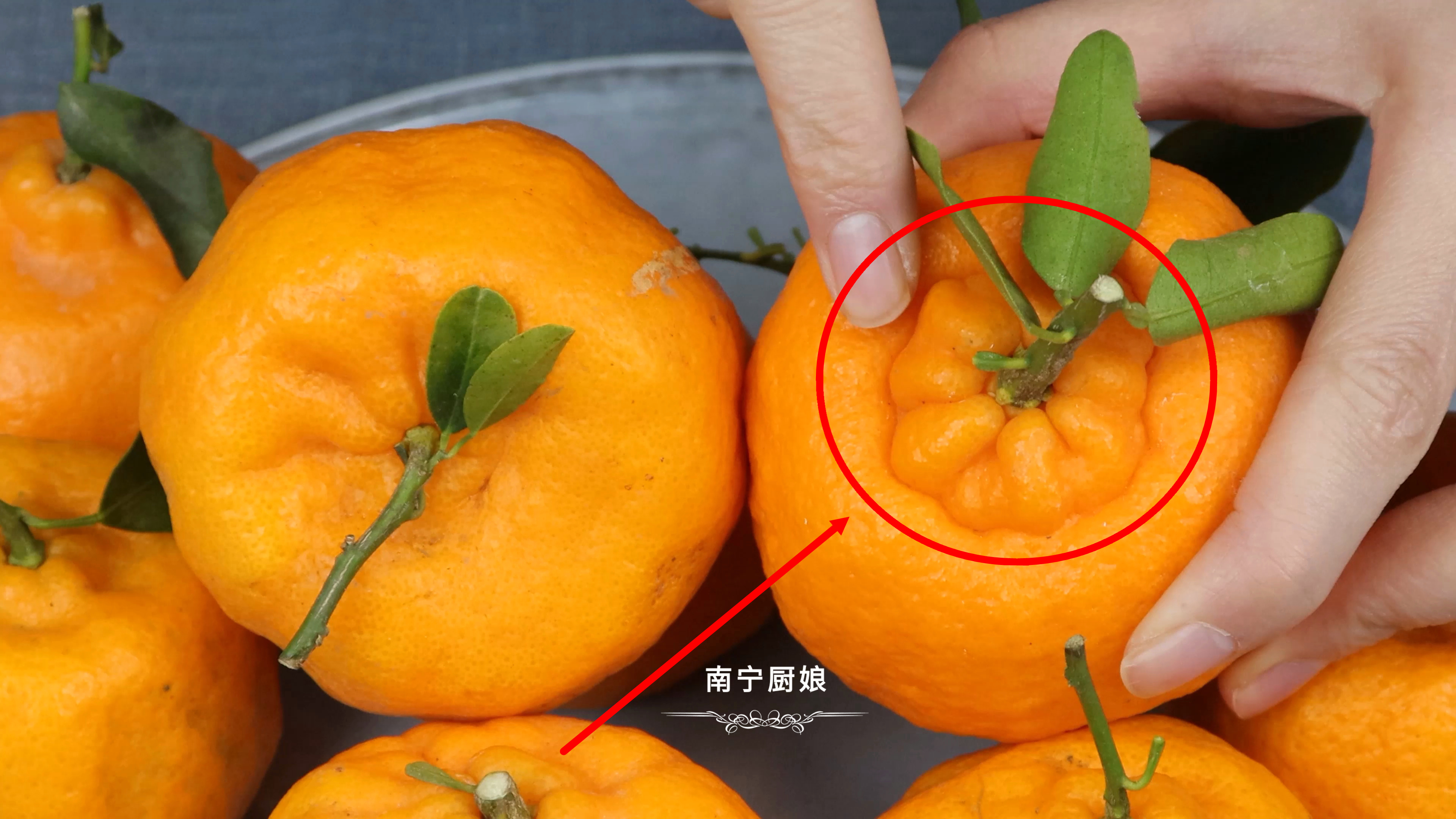 買醜橘時怎麼挑？ 教你5個挑選方法，學會后買到的個個鮮甜又多汁