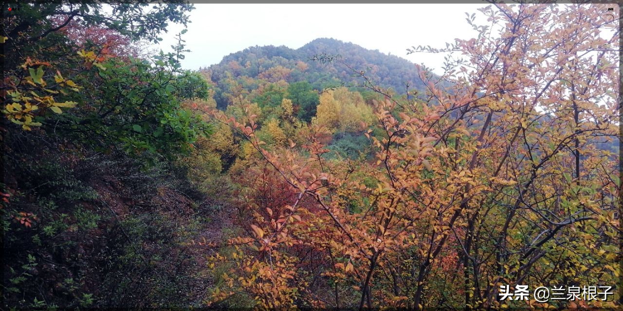 秋天兰州南部大山深处层林尽染景色如诗如画