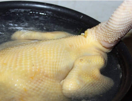 图片[3]-粤式白切鸡的正宗做法步骤图 鸡肉嫩滑还弹牙-起舞食谱网
