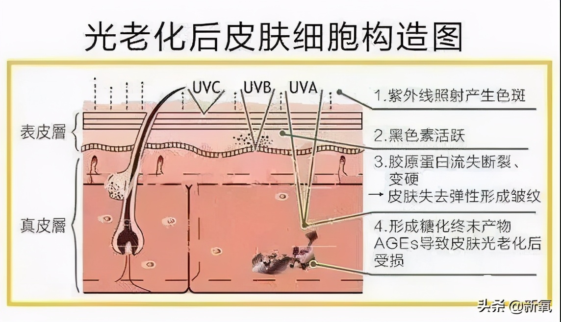 女明星们的好皮肤，当真是得益于戒糖吗？