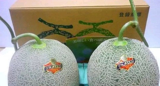 世界上最贵的4种水果，第一产自中国，吃一口相当于一辆豪车！