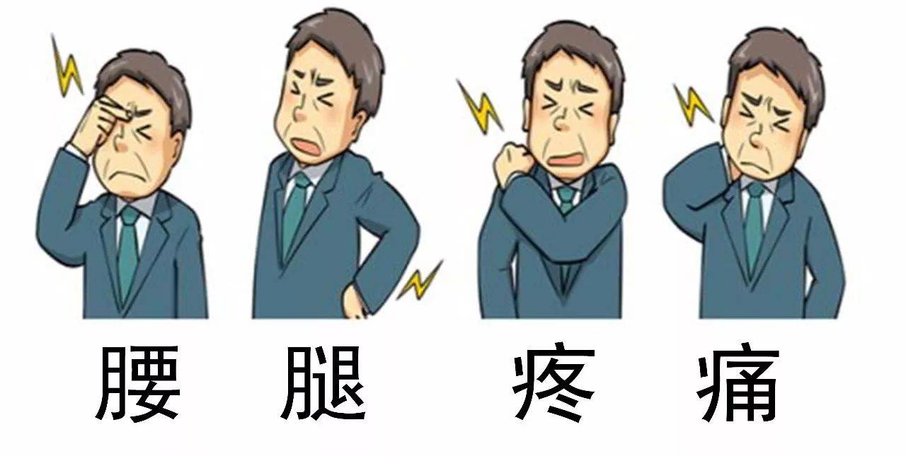 凭借一己之力，清扫体内五种邪气的中医药方