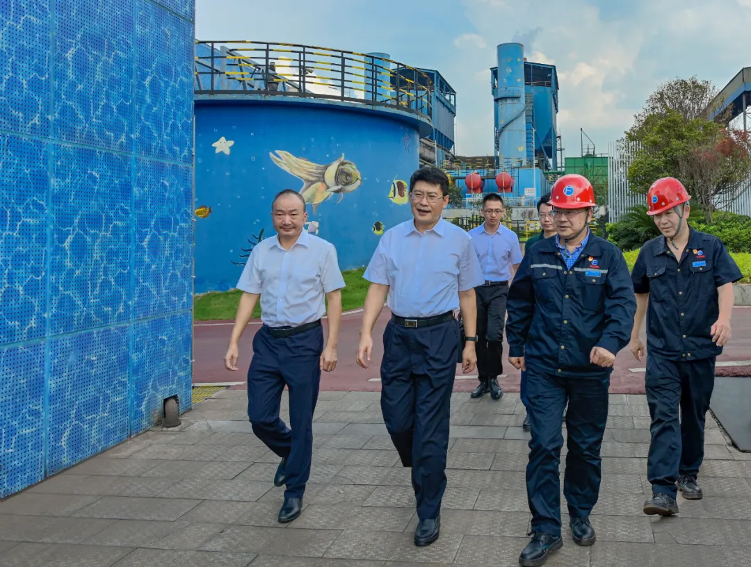 萍乡市委副书记、代市长刘烁到萍安钢铁调研