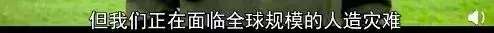 bbc纪录片揭秘气候变化真相:留给人类的时间不多了!| 花边阅读