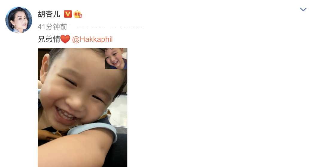 胡杏儿两个儿子视频聊天，同款笑容超治愈，五官相似像在照镜子