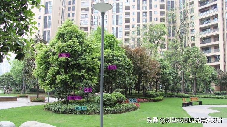 別墅庭院常用植物分享，附照片及名字標(biāo)注（珍藏版）