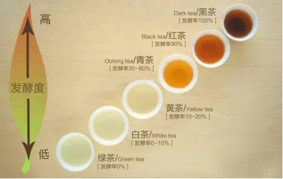你買的紅茶和綠茶可能源自同一株茶樹？