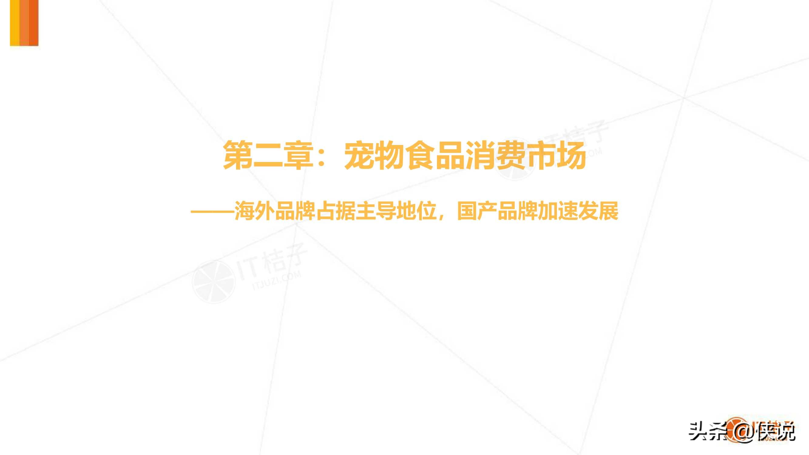 IT桔子：2020年中国宠物消费市场分析报告