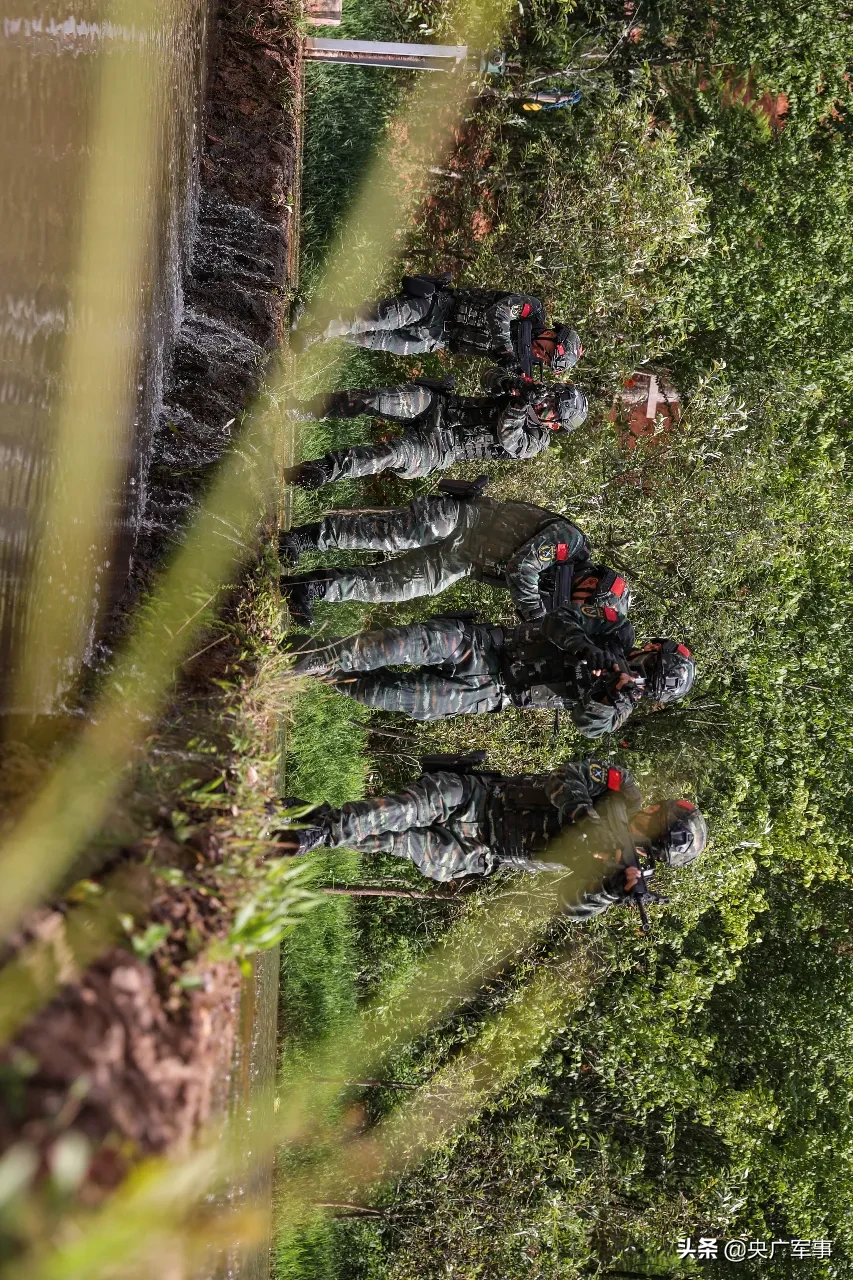 滇南密林，带你直击武警特战队员“反恐”现场