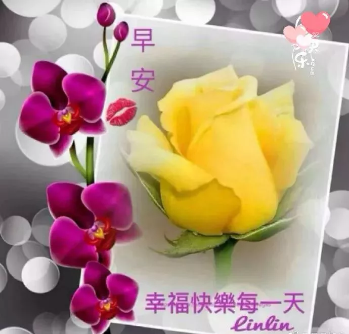 清晨早安阳光的正能量问候语，最美早安问候祝福语图片带字温馨图片