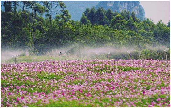 都说南宁进入超级大盘时代，谁在认真打造全系