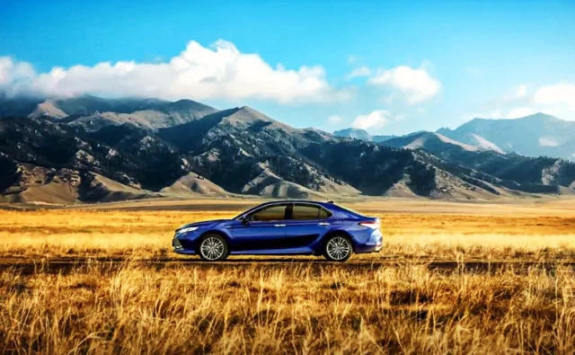 ûͣ￪춯è壬ƷҪע