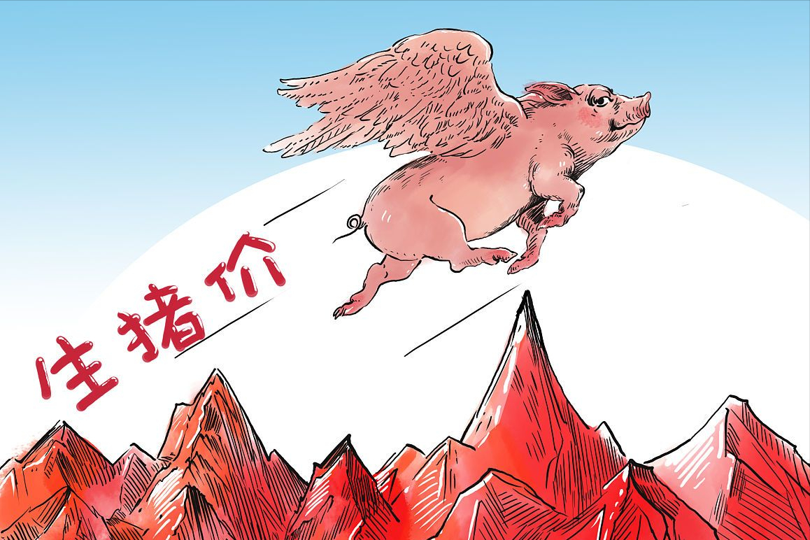 猪价上涨“集结”，28地行情飘红，航天猪再现？猪价要涨多久？