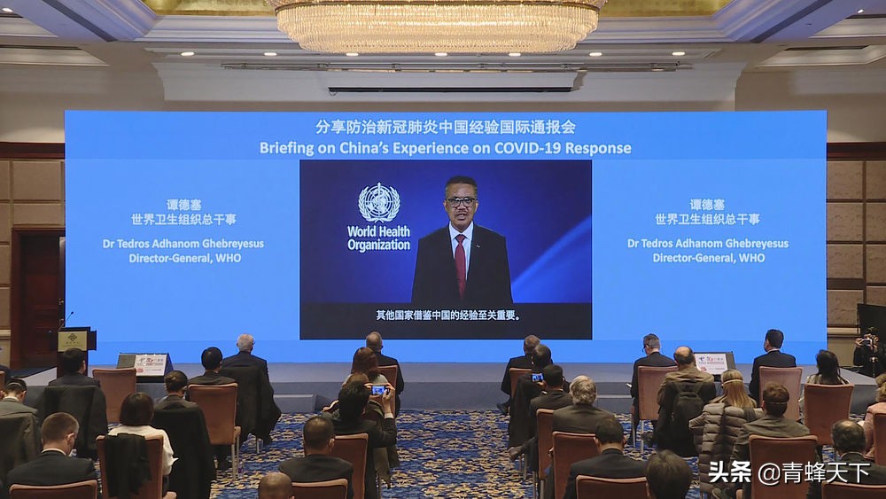 世卫大会上，中国对外宣布五个担当，不该背的锅，一个也不会背