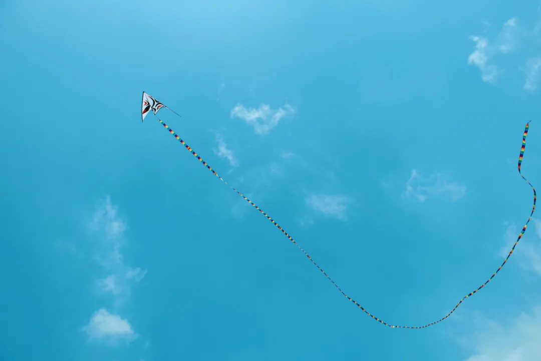 清明 | 梨花风起,思念随风化雨