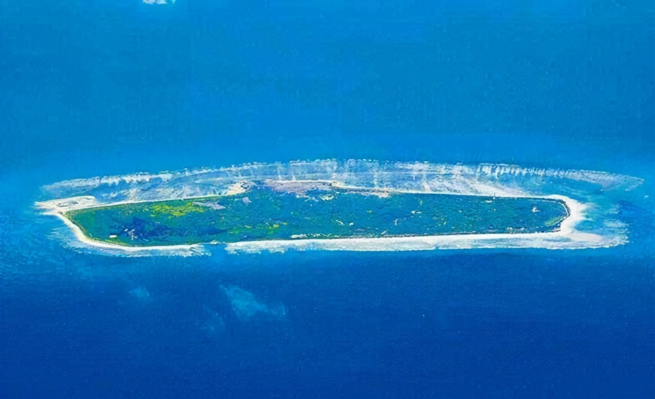 西沙東島發(fā)現(xiàn)400頭野牛，從哪來(lái)？小軍艦鳥(niǎo)數(shù)量銳減與之有關(guān)嗎？