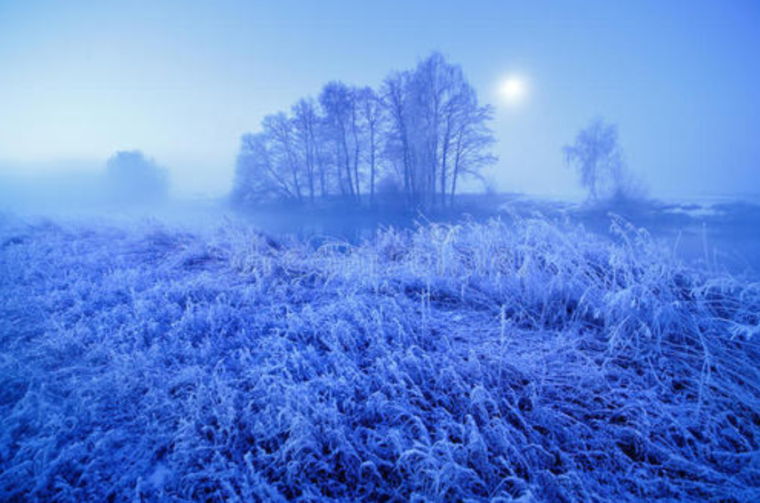 古诗词里的十二月十五，一年中最后的月圆，有雪，有月，有诗意-第7张图片-诗句网