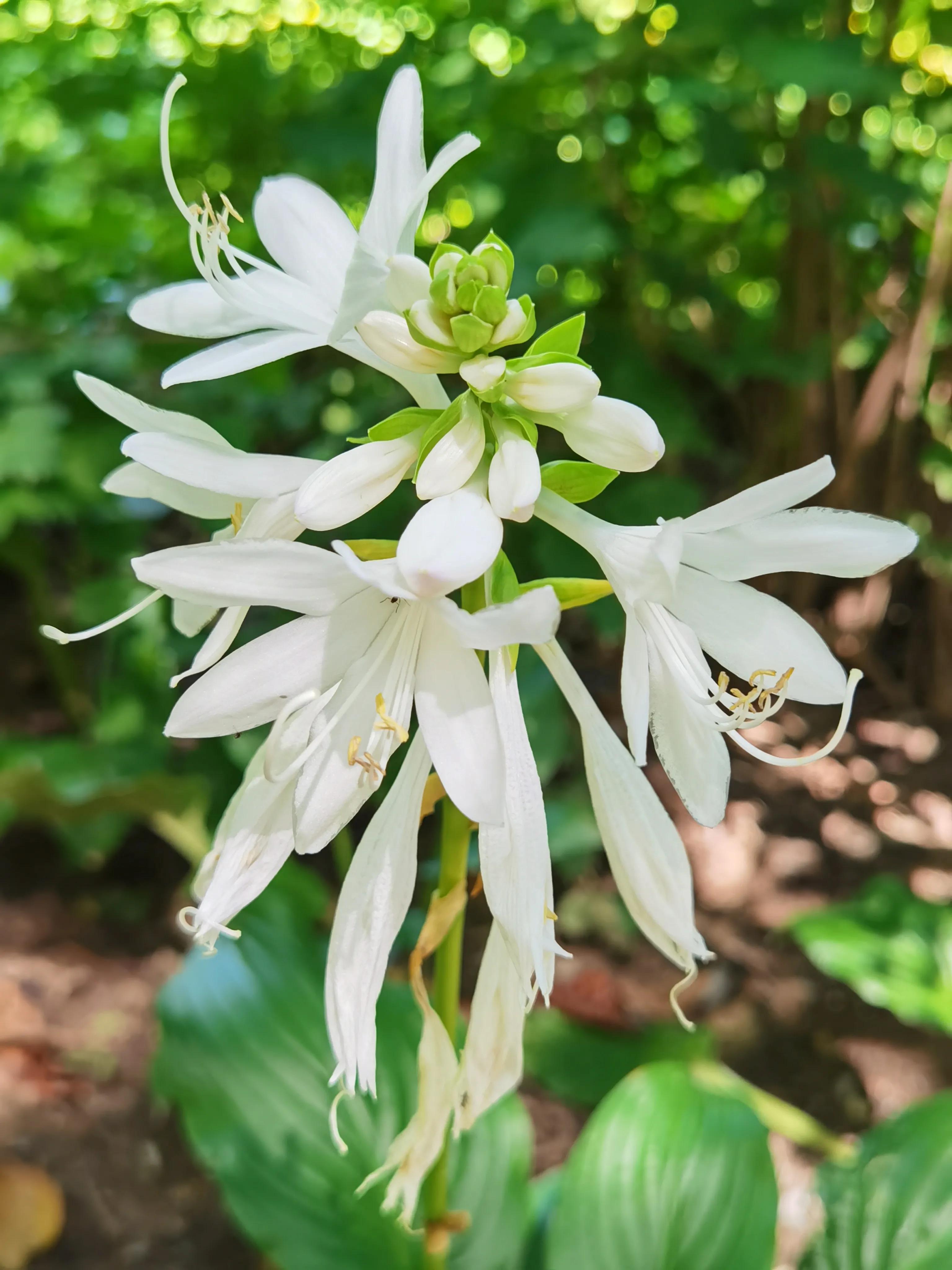 北京植物園一日游