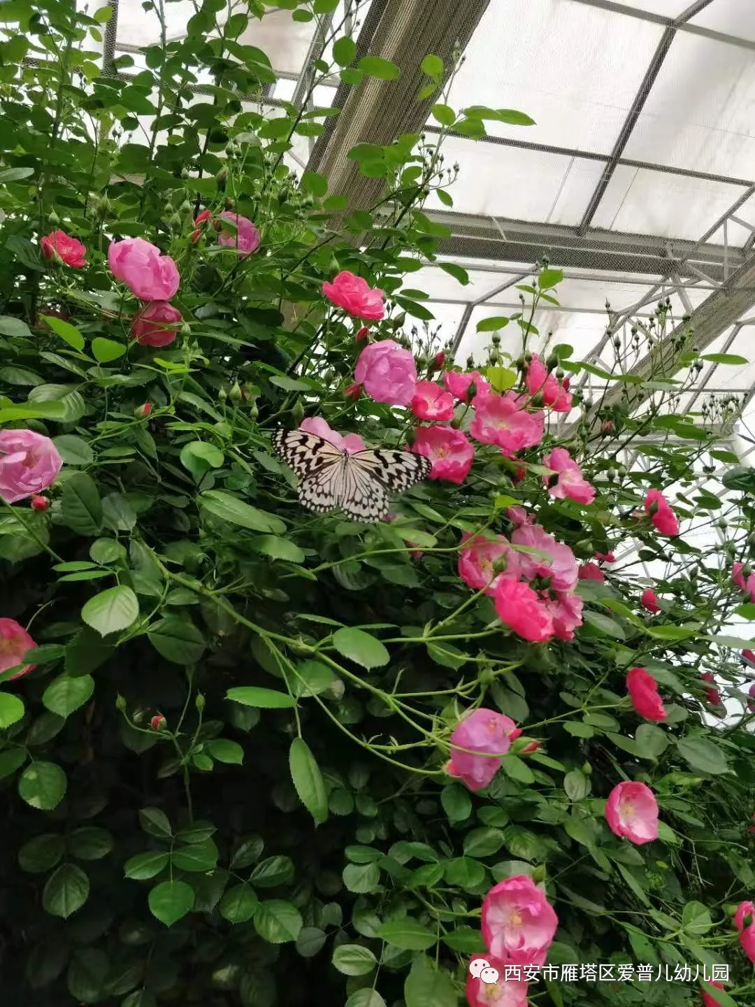 ����عˡ����ն��׶�԰�а�����ѧ��ʵ�߽���δ��