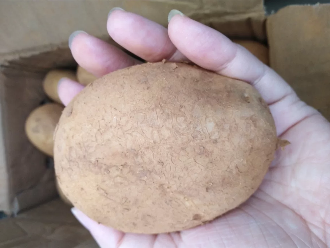 買土豆，分清“面土豆”和“脆土豆”，燉和炒用的不一樣，別搞錯(cuò)