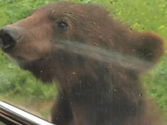 春游江淮等您来|春意盎然,阜阳媒体与临泉的浪漫约会!