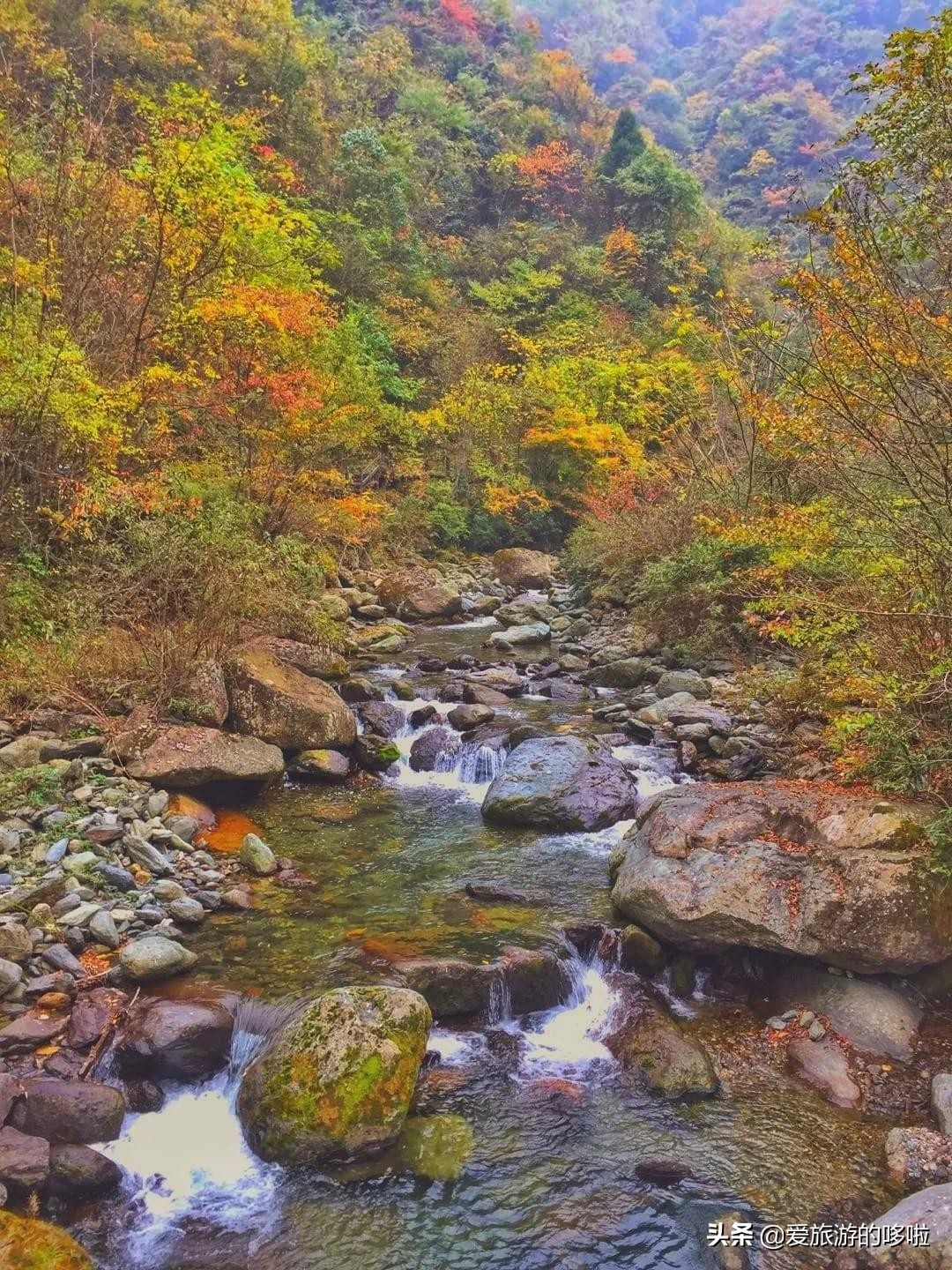 The best place to travel in October-November, the late autumn tour bus is about to depart