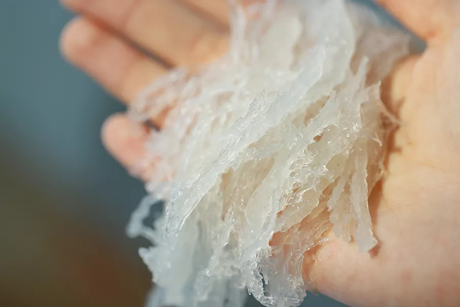 燕窝的正确泡发方法,你做对了吗?