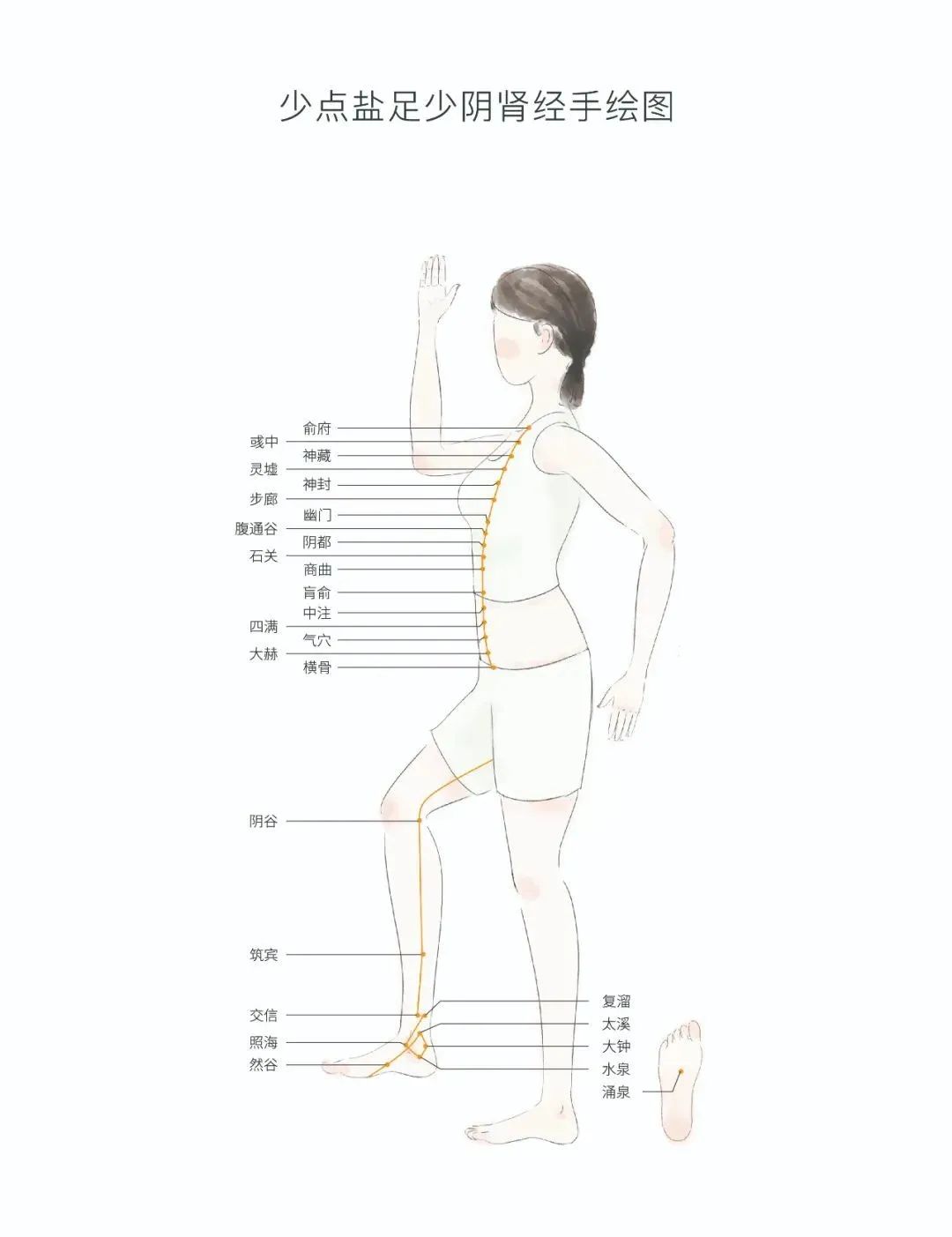 今年很特殊，大寒过后立春前的15天，要抓住养肾的最后机会