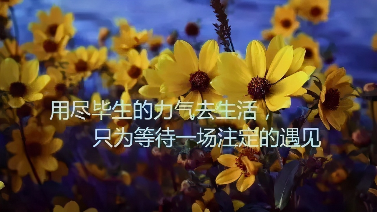 励志早安心语正能量一句话-第11张图片-非凡网
