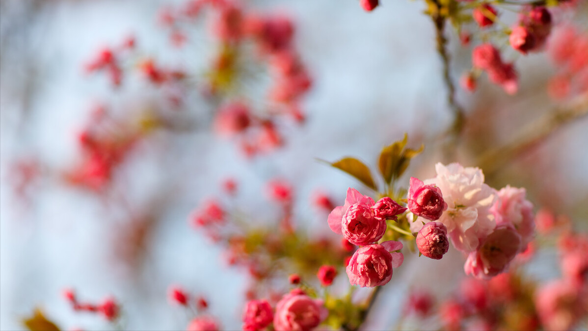 新手从零开始做自媒体—影视剪辑领域详细教程