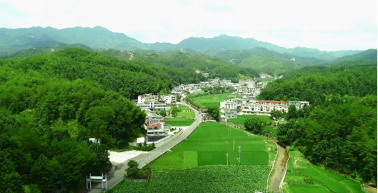上杭县南阳镇：描画乡村新画卷