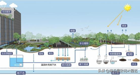 24种海绵城市设计措施经典全图解！你可以不会施工，但是你要了解