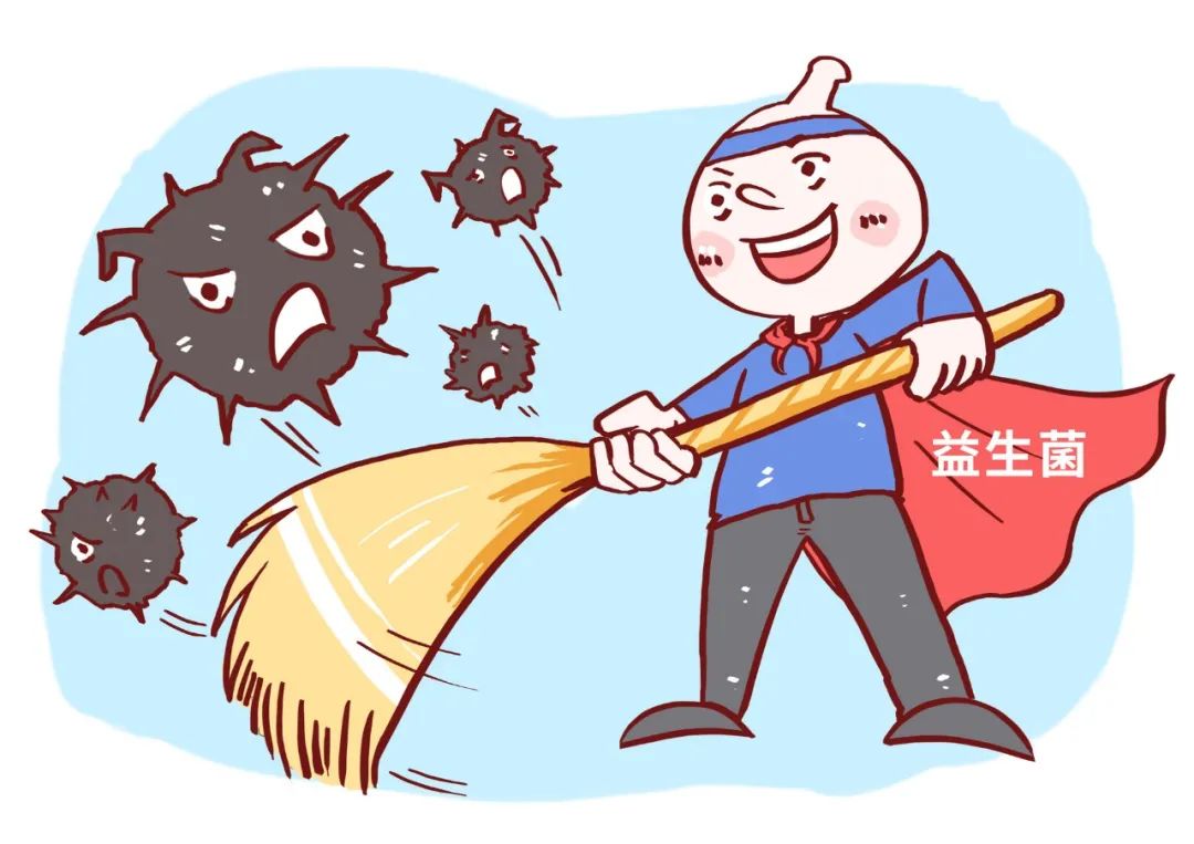 益生菌VS益生元，同“姓”不同“源”