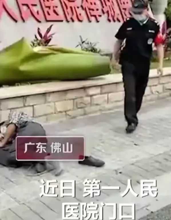 樹葉也能把人砸昏？廣東一男子就被樹葉砸昏送醫(yī)了！啥樹葉這么猛