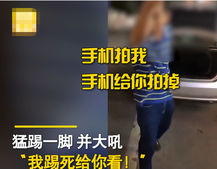“踢死给你看！”广东一乘客悄悄带宠物坐车被发现，司机一脚将其踹飞