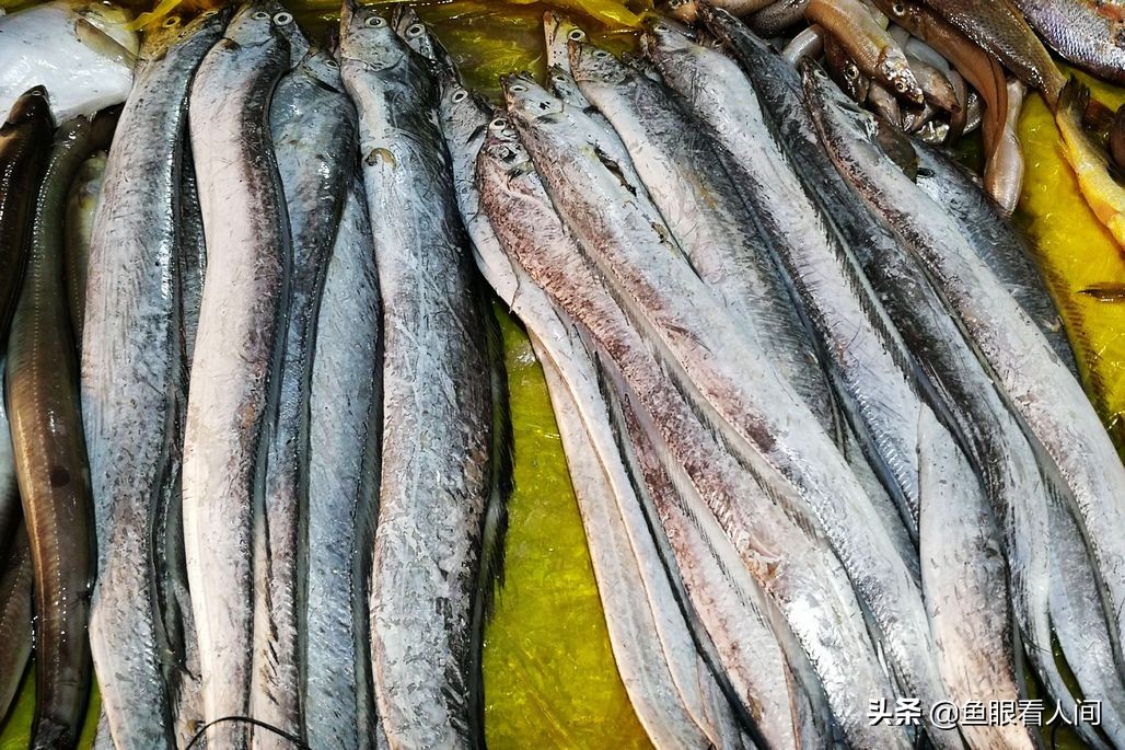 海鲜到市场涨价两成多，4元一斤带鱼到7元，开渔后梭子蟹价稳