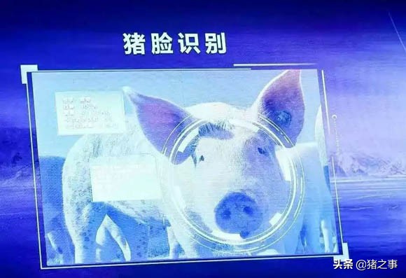 变思路！“由因追果”变成“执果索因”，从而
