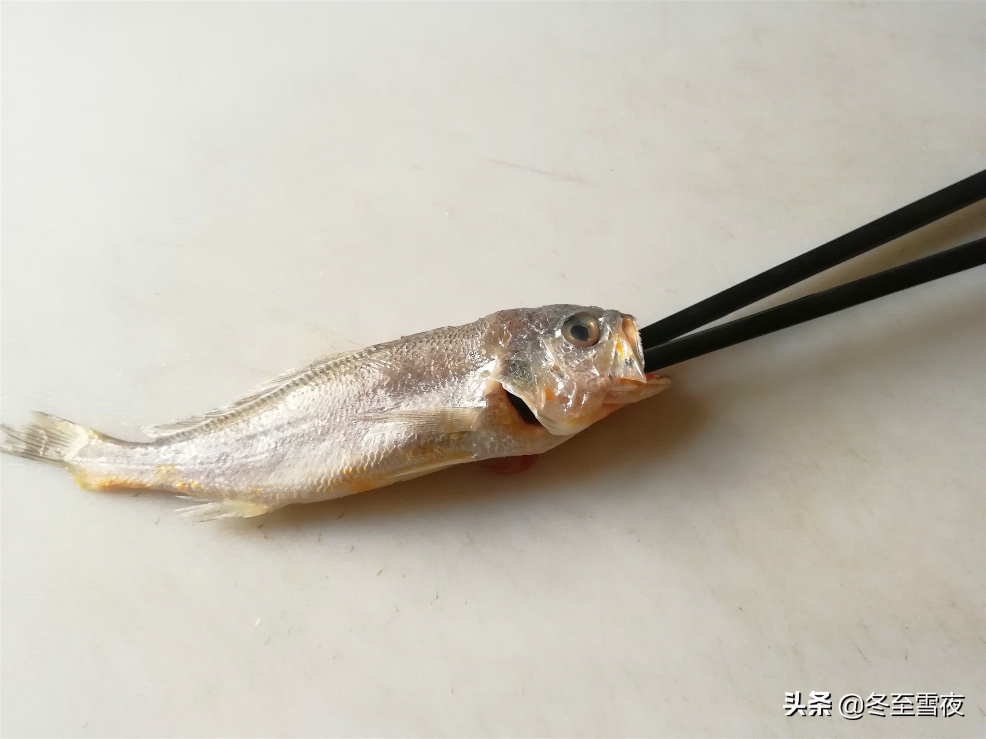 教你小技巧，用一双筷子就能把小黄花鱼内脏去除干净