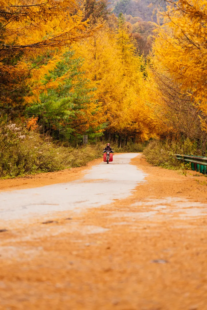 There is a heartbeat called the autumn of the Qinba Mountains!  Red leaves in clear autumn, encounter romantic scenery