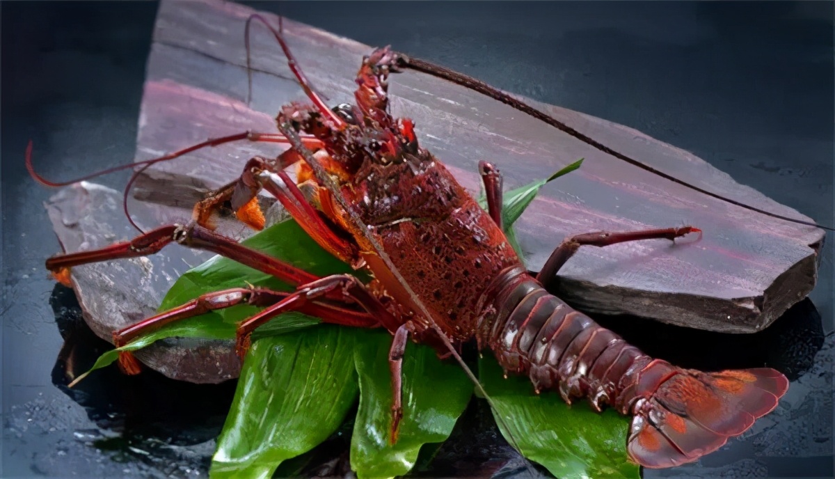 海鲜龙虾十八品种