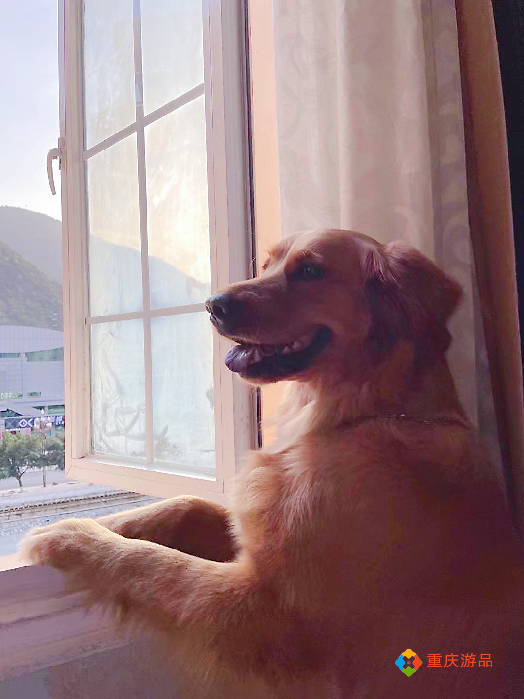 重庆小两口环游中国：抵达四川石棉，烧烤美味，金毛犬成功入住